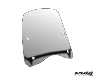 Carenabris Puig T.G para Yamaha FLY