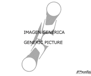 PROTECTOR TIJA CARBONO PANIGALE V4/V4S/SPECIALE